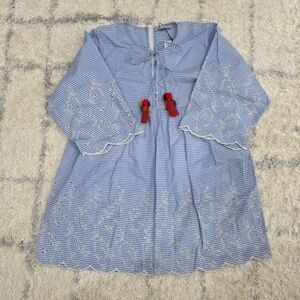 Zara Blue and Red Embroidered Mini Dress